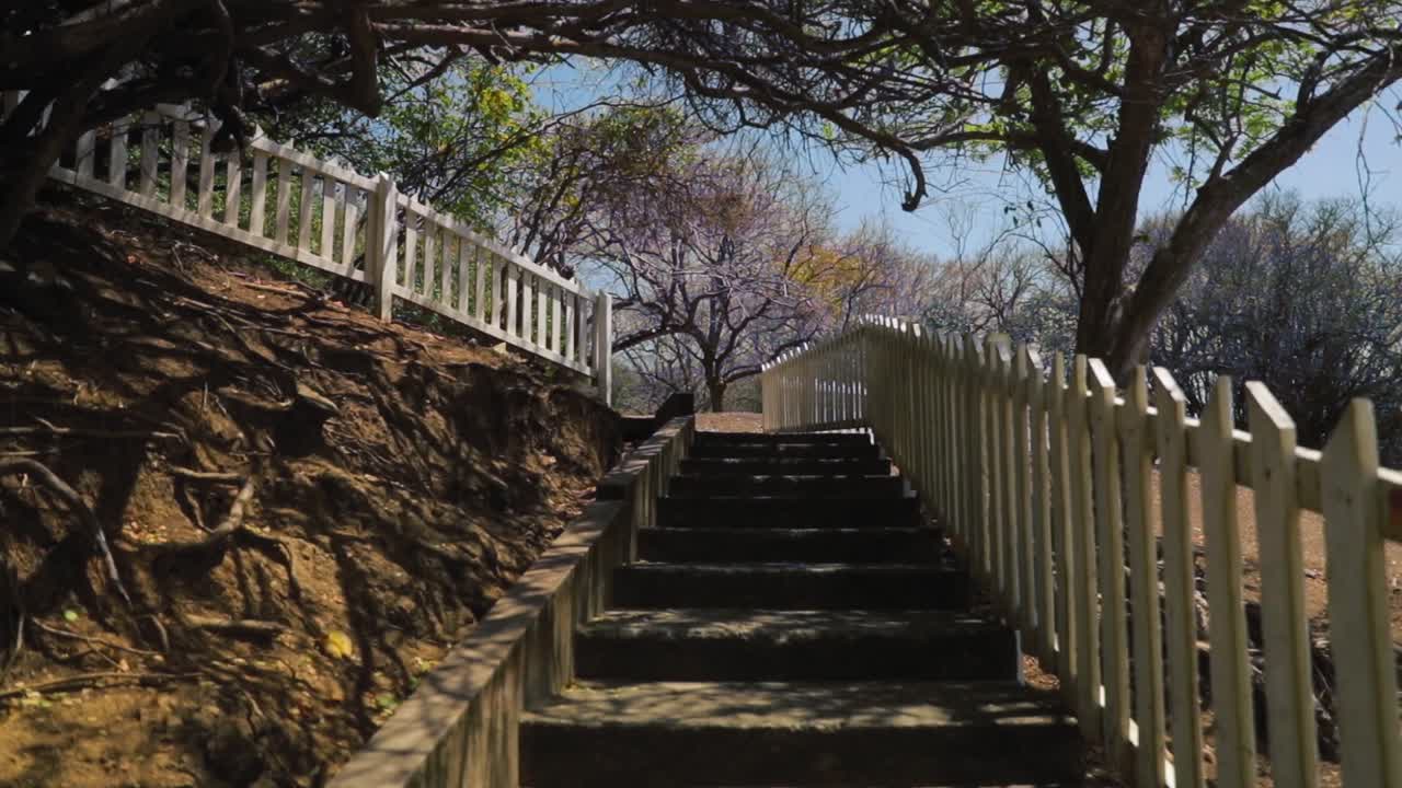 Cement stairway surrounded by fencing in the middle of a forest in Tobago