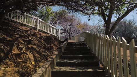 cement stairway surrounded by fencing in the middle of a forest in tobago