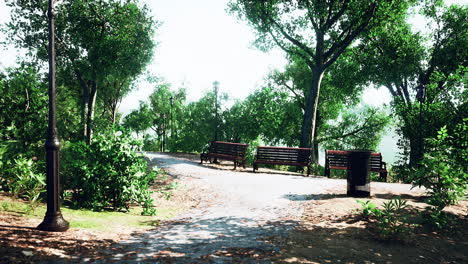 Caminos-En-La-Zona-Del-Parque