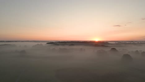 misty sunrise over a forest