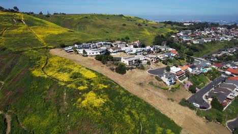 Homes-next-to-green-space-covered-in-yellow-flowers-in-San-Pedro-California,-ocean-in-background