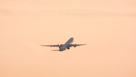 Plane-taking-off-at-sunset