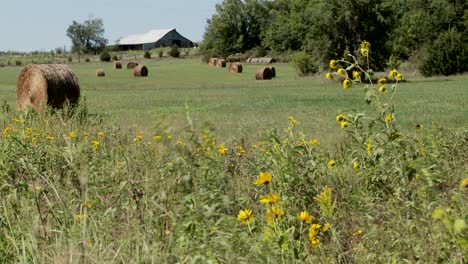 Pan-across-to-bales-of-hay-in-the-fields-of-rural-farm-1