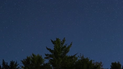 Night sky filled with stars over dark silhouette of trees before dawn, capturing calm, clear atmosphere with a faint light trail in northern celestial view under natural darkness