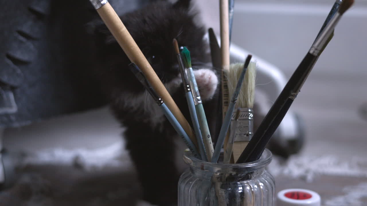 Kitten med pensler