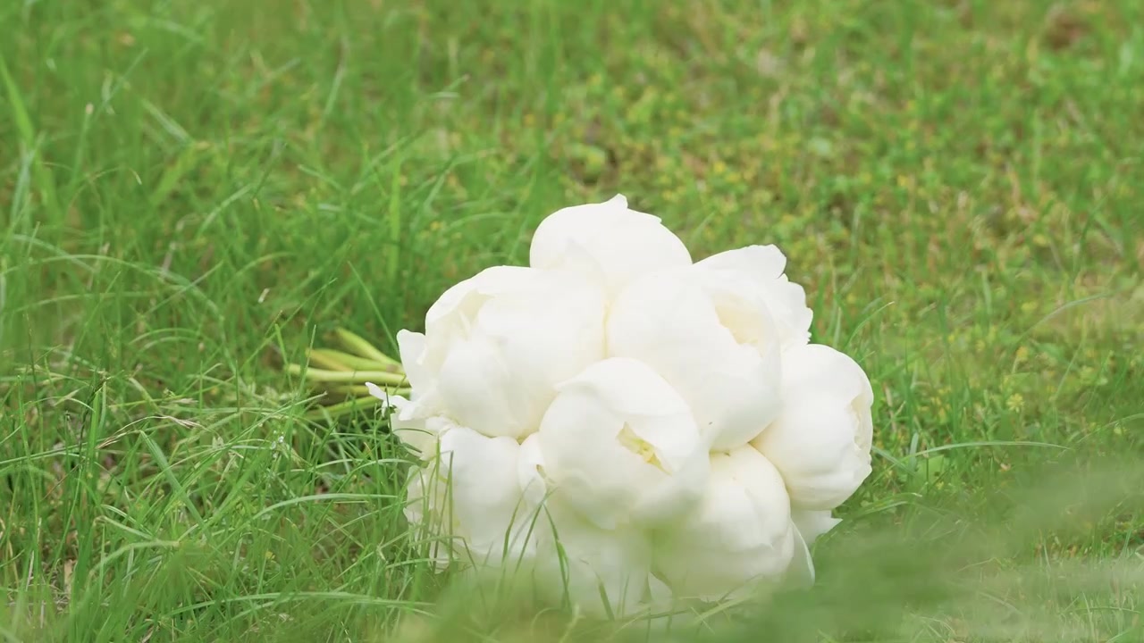 A delicate bouquet of white peonies rests gently on lush green grass, captured in a close-up shot with soft, natural lighting and selective focus, adding a serene and romantic mood.