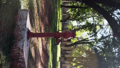 antiguo hidrante rojo en el parque