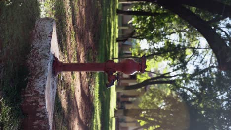 old red hydrant in the park