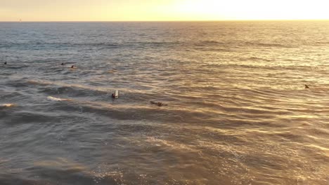 Surfers-In-The-Ocean-At-Venice-Beach