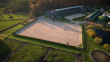 Group-of-thoroughbred-horses-walking-and-grazing-in-paddock-near-stable