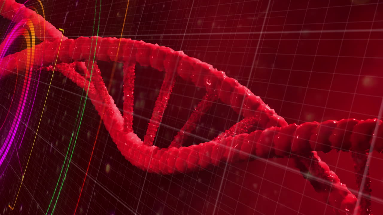 dna 가닥에 대한 데이터 처리의 애니메이션