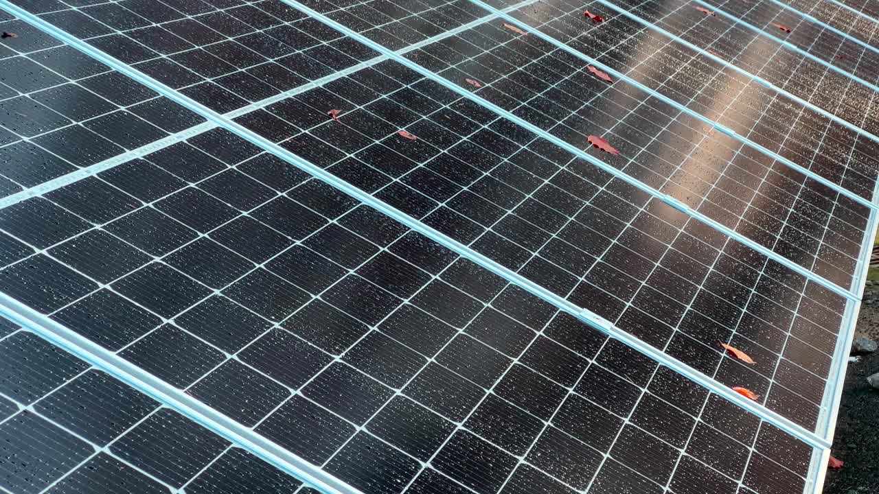 vista cercana de los paneles solares modernos cerca de los árboles del bosque de otoño