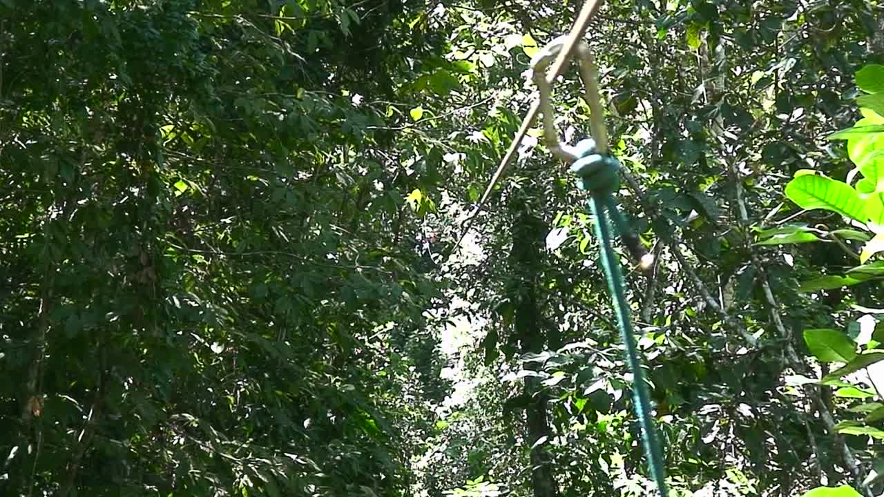 A man ziplines through a jungle ravine in Costa Rica