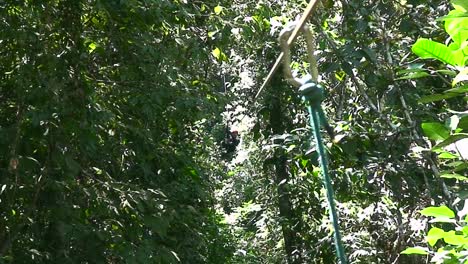 Un-Hombre-Tira-De-Tirolinas-A-Través-De-Un-Barranco-De-La-Selva-En-Costa-Rica