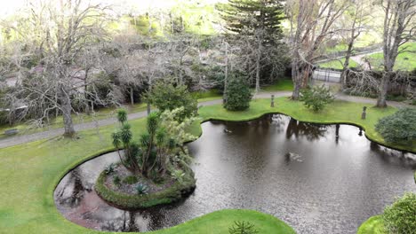 Pond-in-Terra-Nostra-Garden-Hotel-near-Furnas-in-São-Miguel-Island,-Azores,-Portugal---Fly-over-Aerial-shot