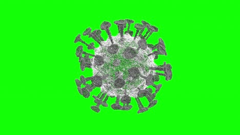 Corona-Virus-rotating-in-xray-Animation-In-4K