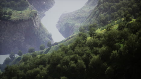 Aerial-top-view-of-rainforest-ecosystem-and-healthy-environment