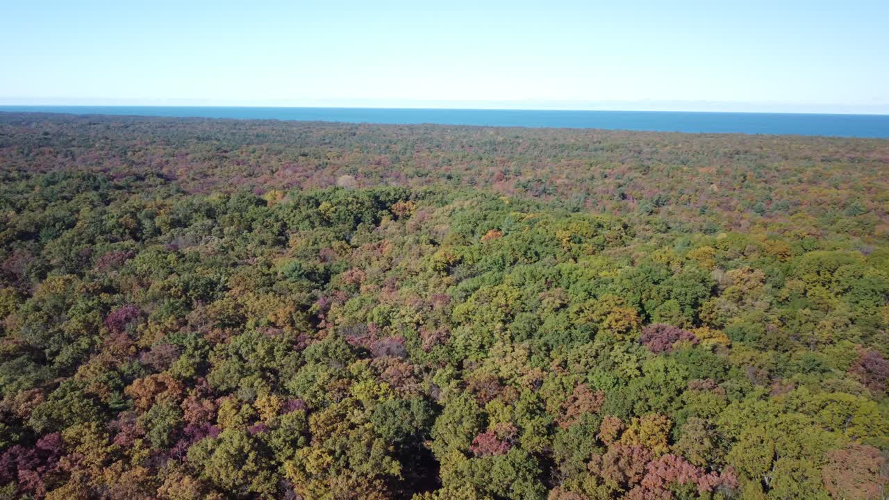 foresta boreale in Canada durante il cambio di colore autunnale