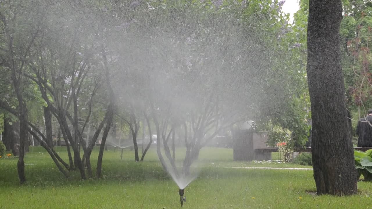 Irrigazione dell'erba