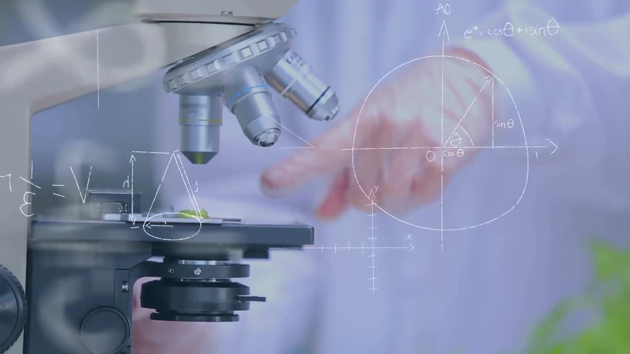 현미경 하 에서 연구 하는 것