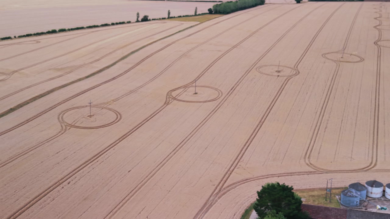 Inquadratura dall'alto di campi di grano dorato con tracce di trattori e pali di servizio. Adatto per temi di agricoltura, sostenibilità e infrastrutture rurali.