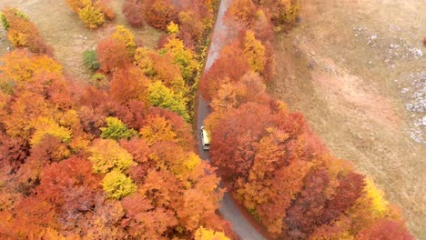 Luftaufnahme-Unglaublicher-Straßen-Durch-Den-Durmitor-nationalpark-In-Montenegro-Voller-Erstaunlicher-Herbstfarben-Im-Herbst