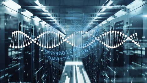 DNA-strand-and-binary-coding-animation-over-data-center-servers