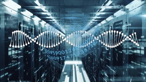 DNA strand and binary coding animation over data center servers