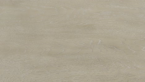 lens descends toward the ash surface, magnifying its fine grain and soft tonal shifts