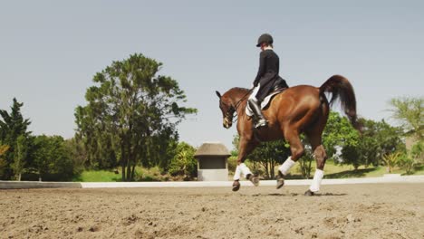 mujer caucásica montando su caballo