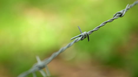 barb wire fence with blurred background, close up, pan right