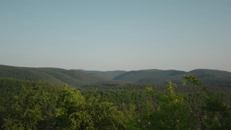 Slow-zoom-in-above-leaves-swaying-in-wind-from-the-top-of-trees,-mountains-fill-the-horizon