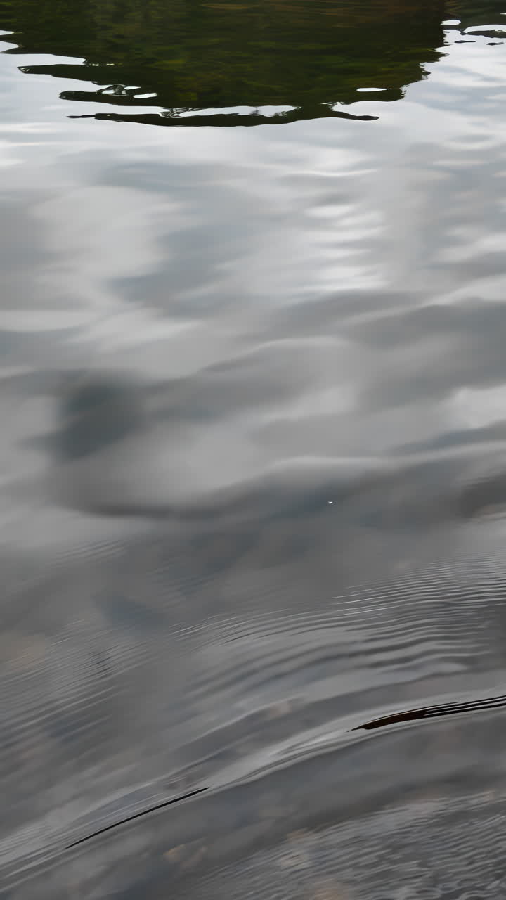 Reflection of Clouds and Trees in Still Water