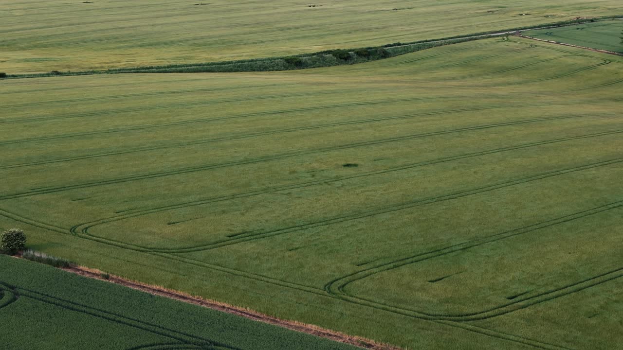 Drone approaches green rolling fields in windy English countryside on sunny summer day, wind texture on grassland
