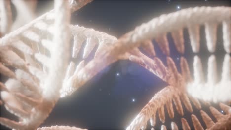 double helical structure of dna strand close-up animation