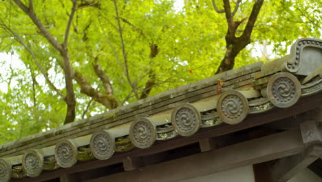 close up shots of traditional rooftop panels with green momiji leaves in the background in kyoto, japan soft lighting