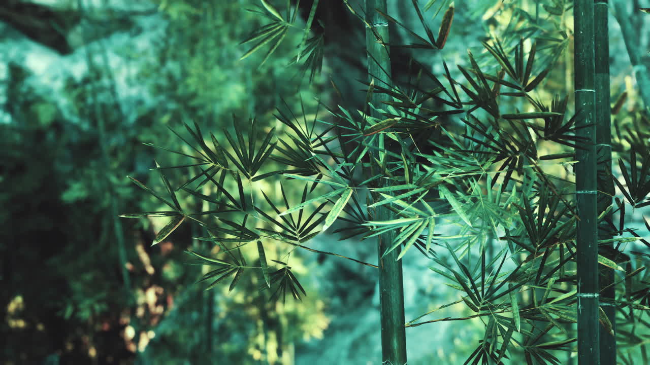 primer plano de las hojas verdes de bambú