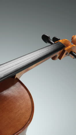 cello details