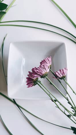 pink chrysanthemum flowers in a white bowl