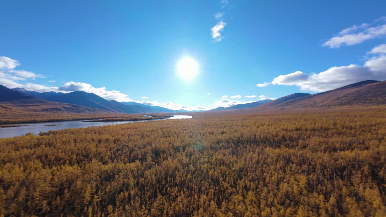 Soaring high above stunning golden landscapes, a breathtaking journey unfolds as the tranquil river meanders through the rolling hills, showcasing nature's harmonious beauty.