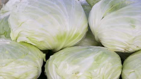 Cabbages-for-sale-at-the-free-fair,-panoramic-plan