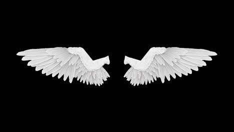 pair of white angel wings