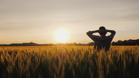 Un-Agricultor-Exitoso-Mira-Su-Campo-De-Trigo-Al-Atardecer