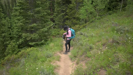 Female-photographer-in-a-forest-with-pine-trees-taking-photos-of-nature,-tilt