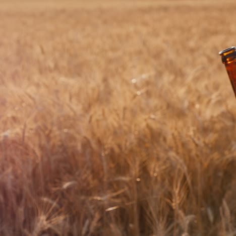 Bier-Trinken-In-Einem-Weizenfeld