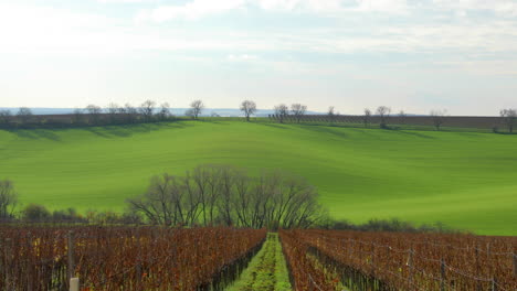 Blick-Auf-Wellige-Hänge-Und-Die-Natur-In-Der-Nähe-Von-Weinbergen-Rund-Um-Südmähren-Riesiges-Feld-An-Einem-Herbsttag-In-Einem-Gebiet-Namens-Mährische-Toskana-Mit-Wellen-Im-Hintergrund,-Aufgenommen-Mit-4k-60fps-Zeitlupe