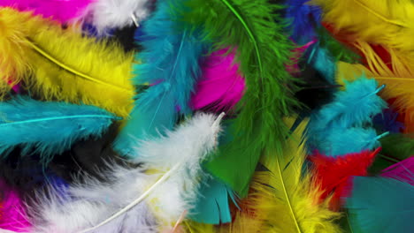 rotating pile of brightly colored feathers