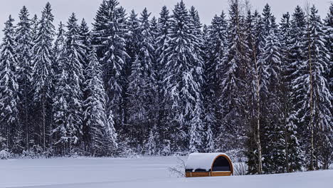 Schneesturm,-Der-über-Borealen-Wald-Und-Isolierte-Thermische-Holzsauna-Auf-Dem-Land-Fällt,-Zeitraffer