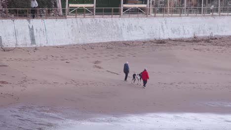 Senior-couple-and-big-dog-walking-on-beach-early-morning,-estoril,-Cascais