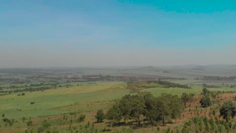 aerial shot of sugar cane fields in a rural area of africa